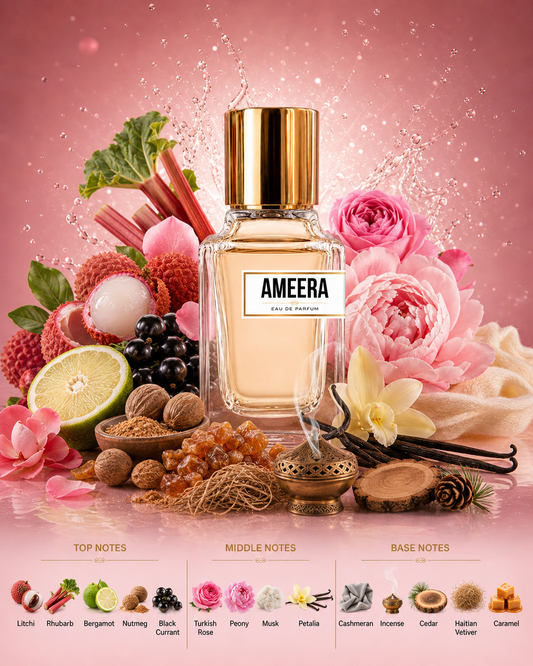 AMEERA ( INSPIRED BY PDM DELINA )